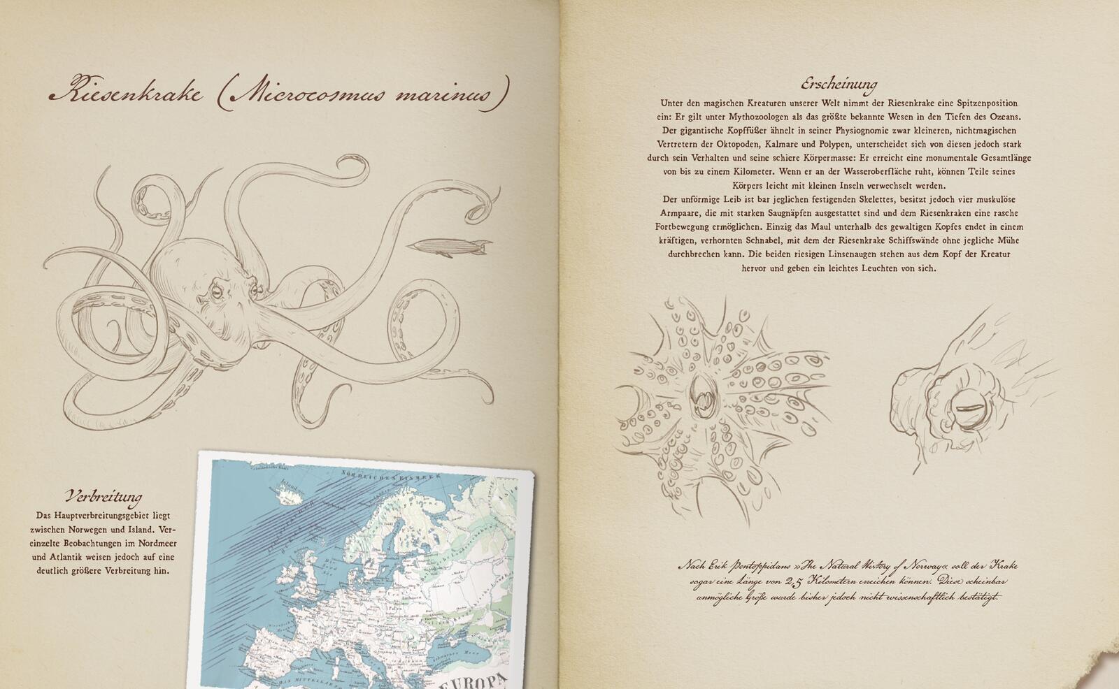 Beispielinhalt (Bild) Verborgene Fabelwesen der Meere