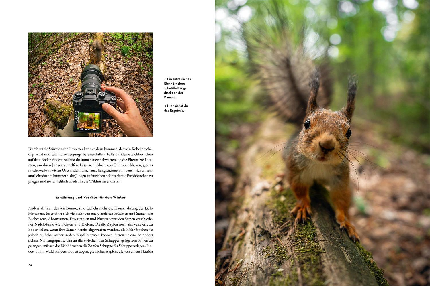 Beispielinhalt (Bild) Moments in Nature