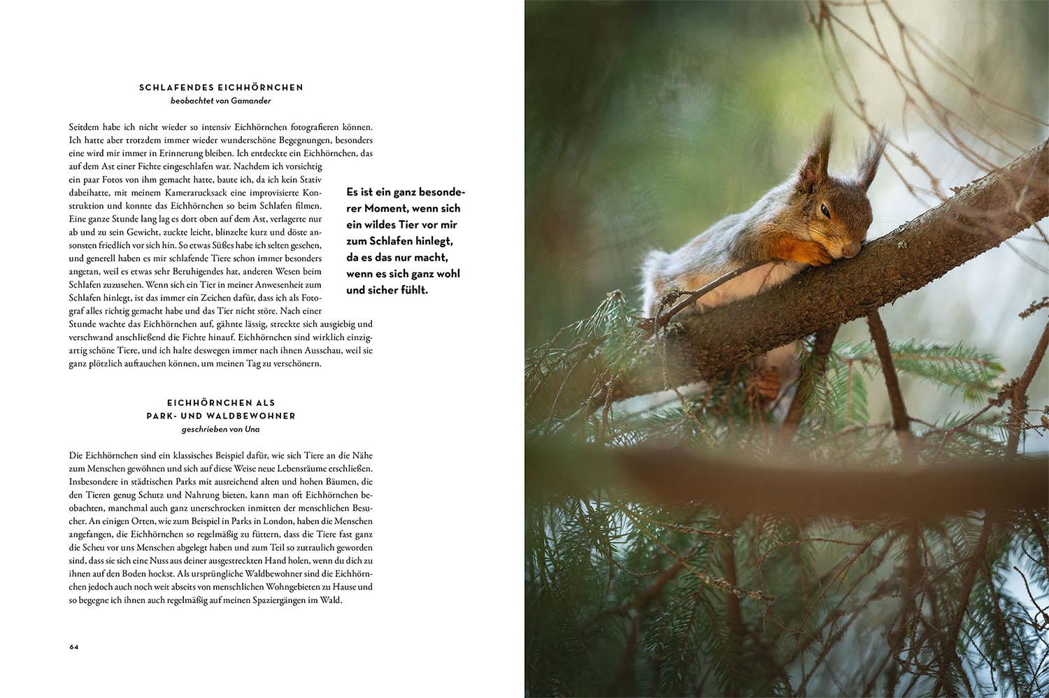 Beispielinhalt (Bild) Moments in Nature