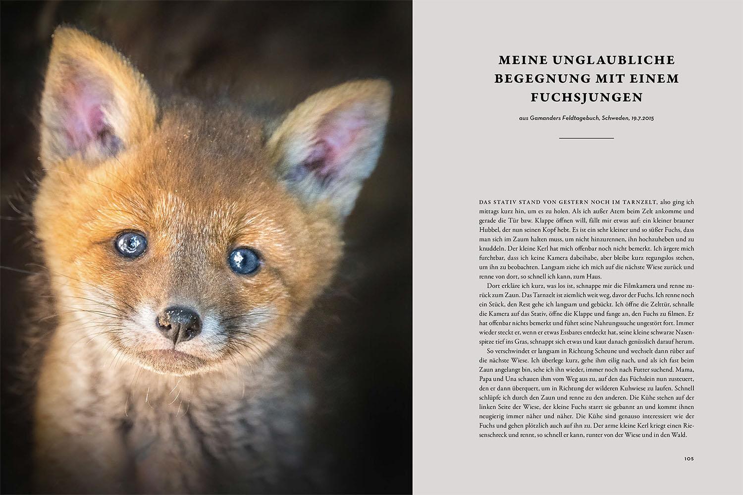 Beispielinhalt (Bild) Moments in Nature