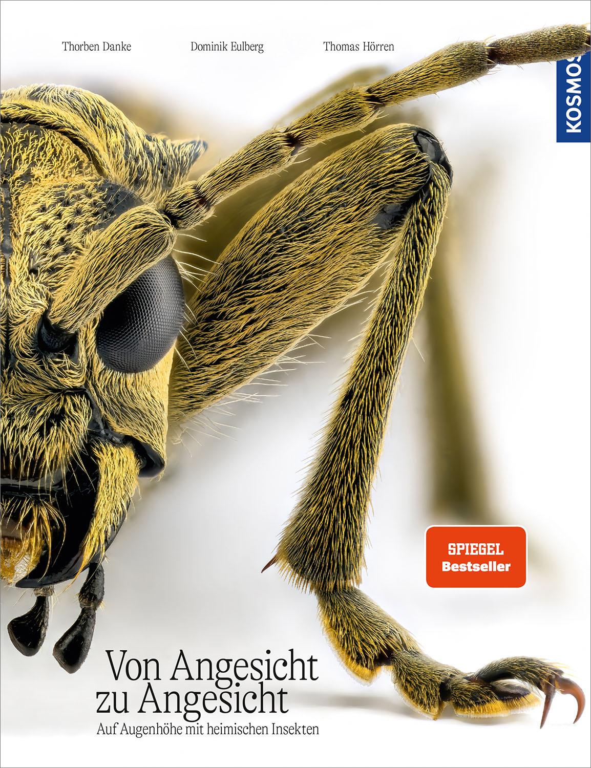 Vorderes Coverbild Von Angesicht zu Angesicht