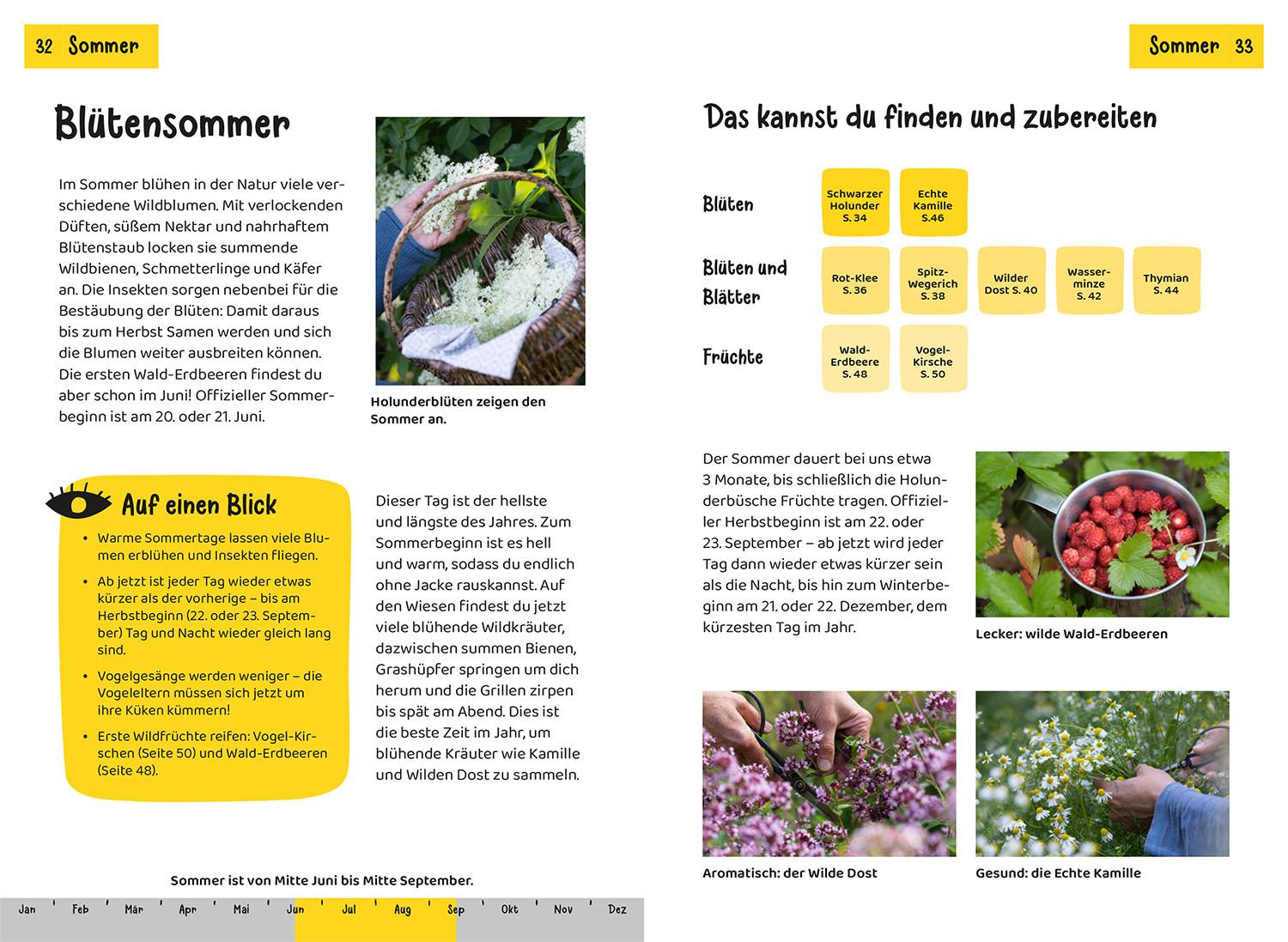 Beispielinhalt (Bild) Welche essbare Pflanze ist das? Kindernaturführer