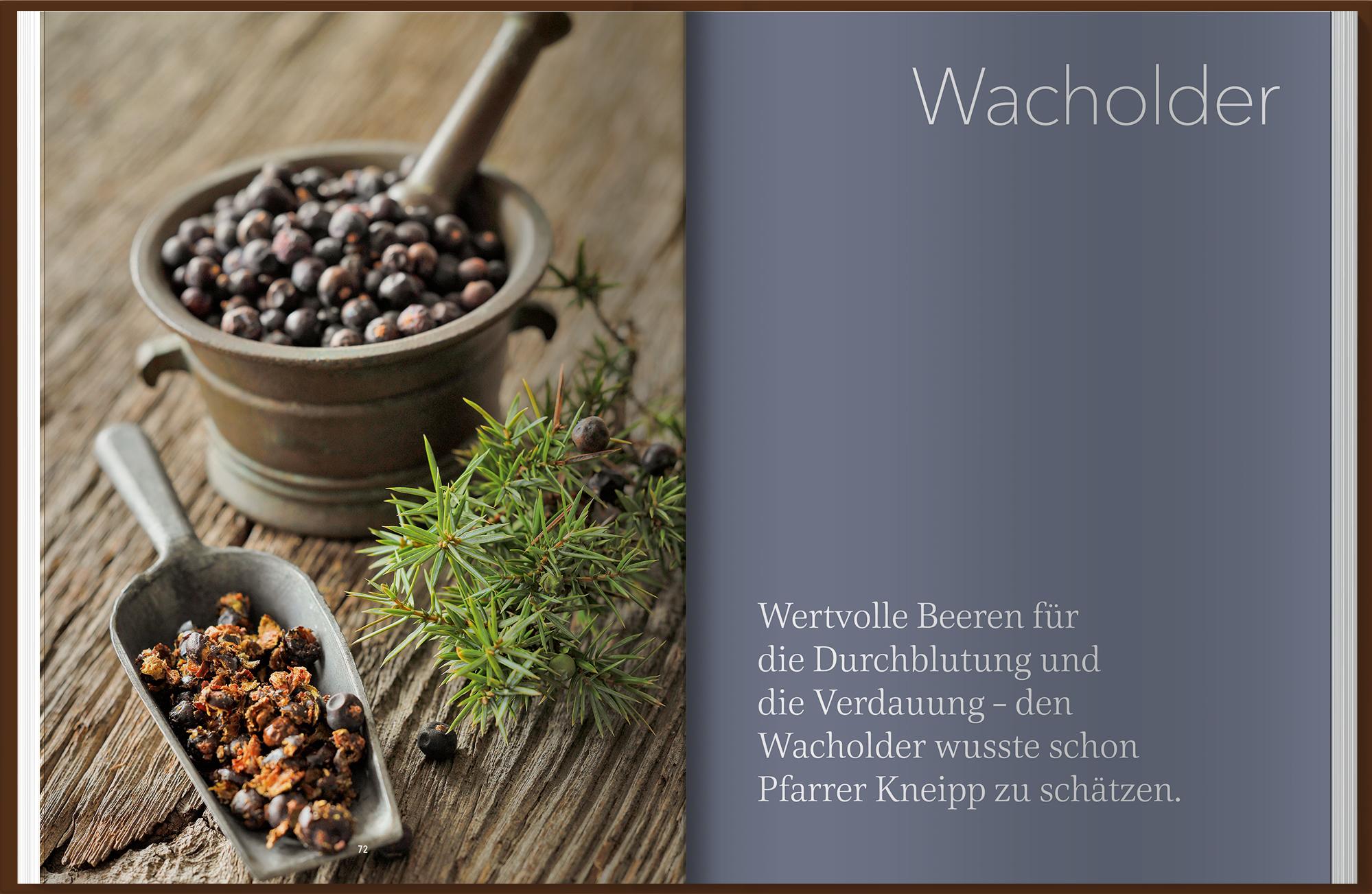 Beispielinhalt (Bild) Landlust Naturapotheke