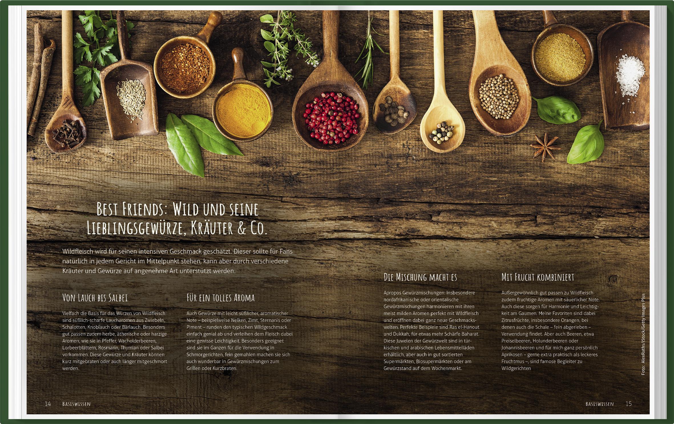 Beispielinhalt (Bild) Einfach mal Wild