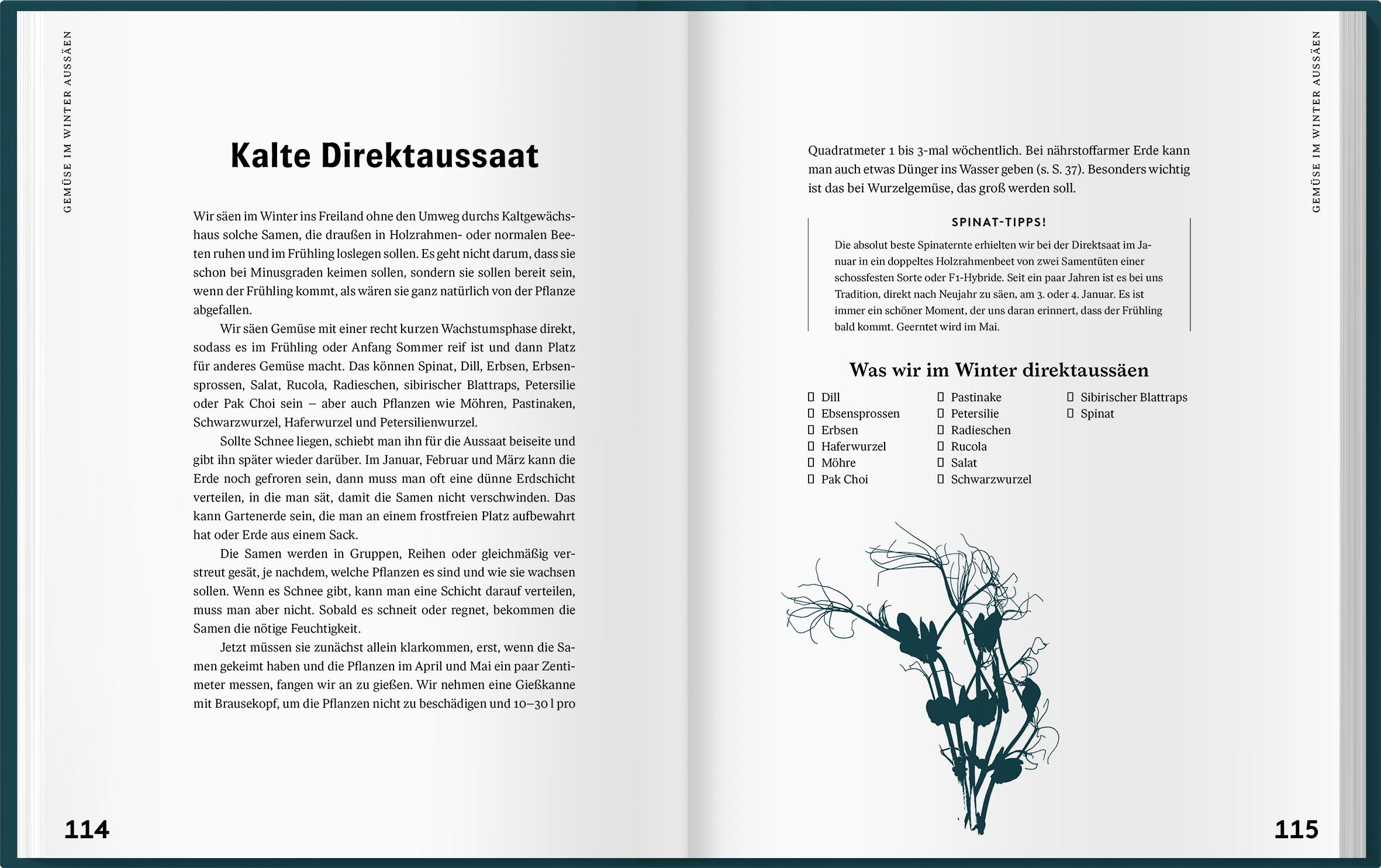 Beispielinhalt (Bild) Mit Kaltanbau zu grünen Wundern