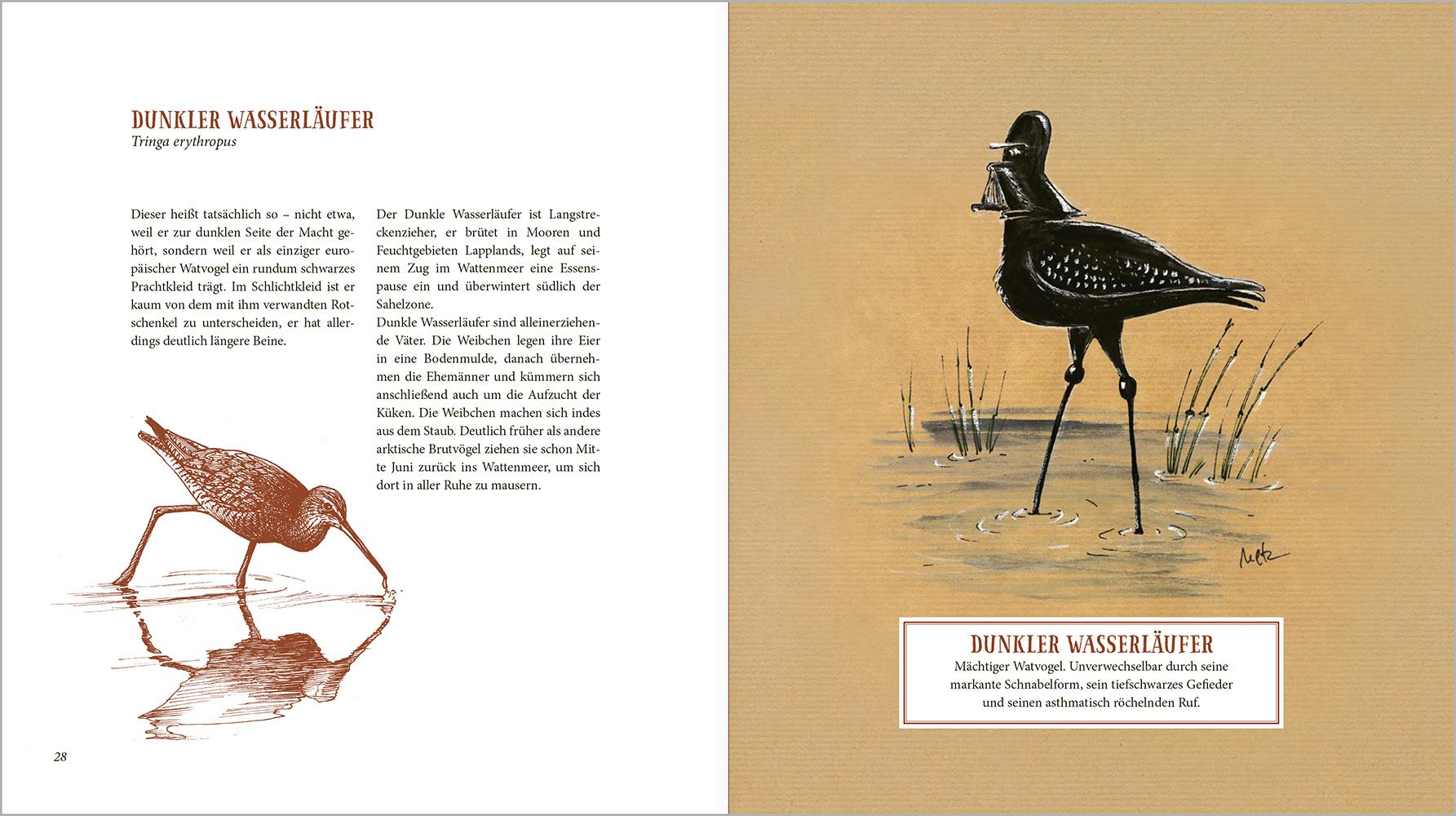 Beispielinhalt (Bild) Von Ohrenlerchen und Tubatölpeln