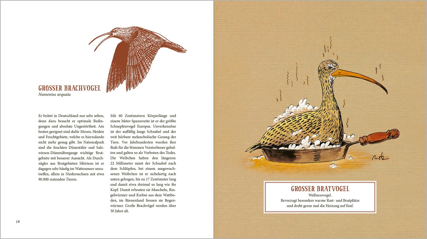 Beispielinhalt (Bild) Von Ohrenlerchen und Tubatölpeln