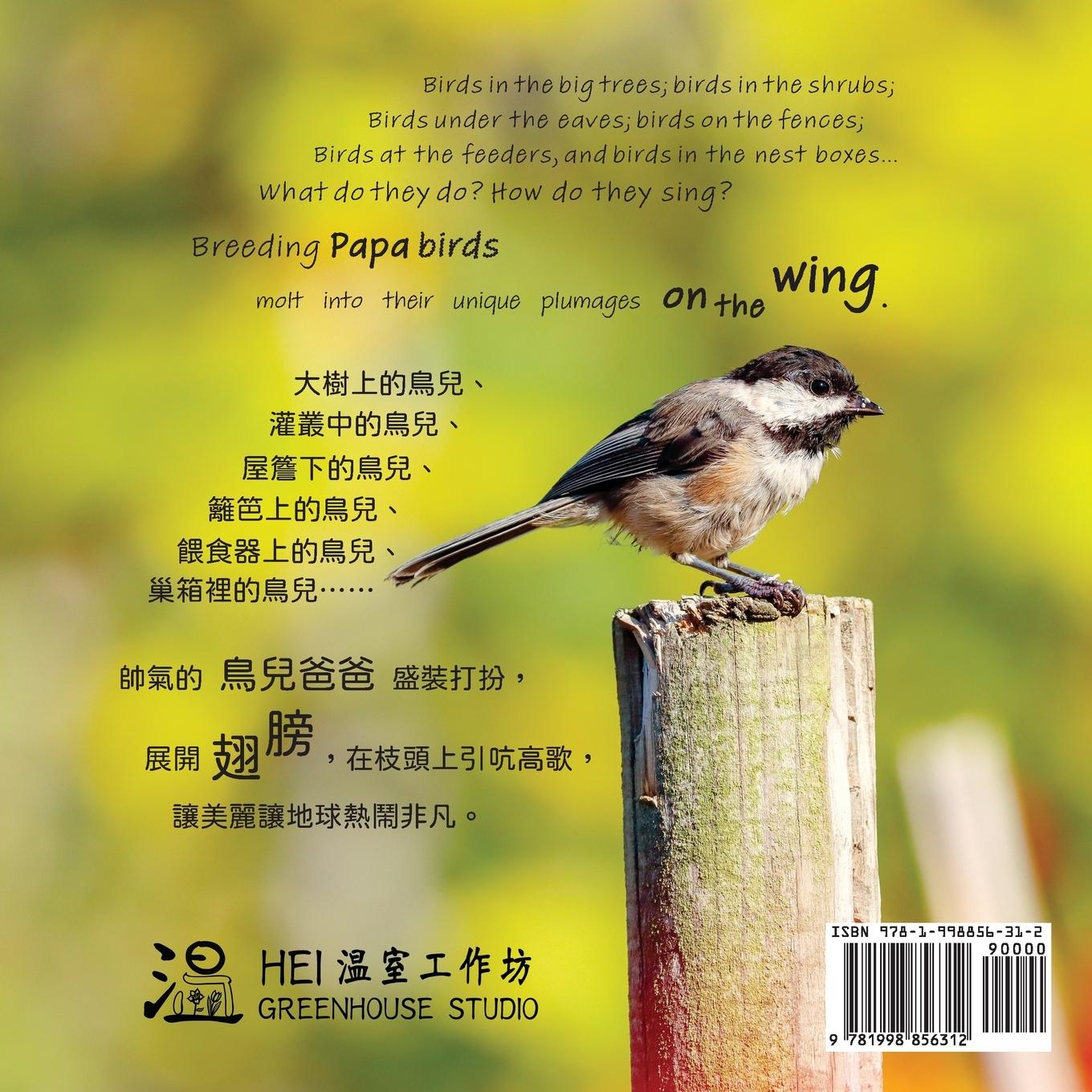 Rückseitencover On the Wing ¿¿ - North American Birds 4