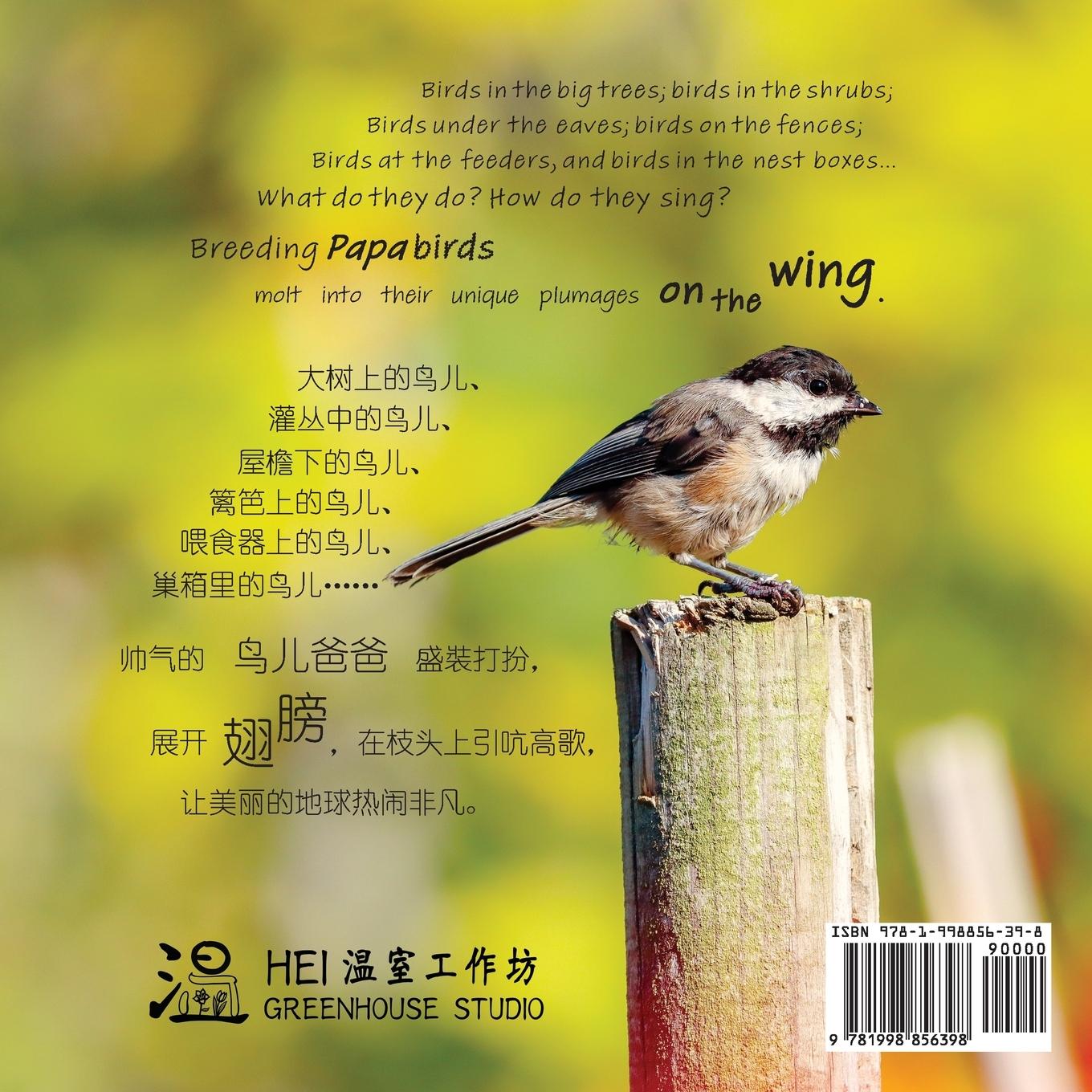 Rückseitencover On the Wing ¿¿ - North American Birds 4