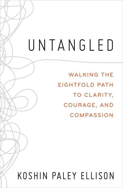 Vorderes Coverbild Untangled