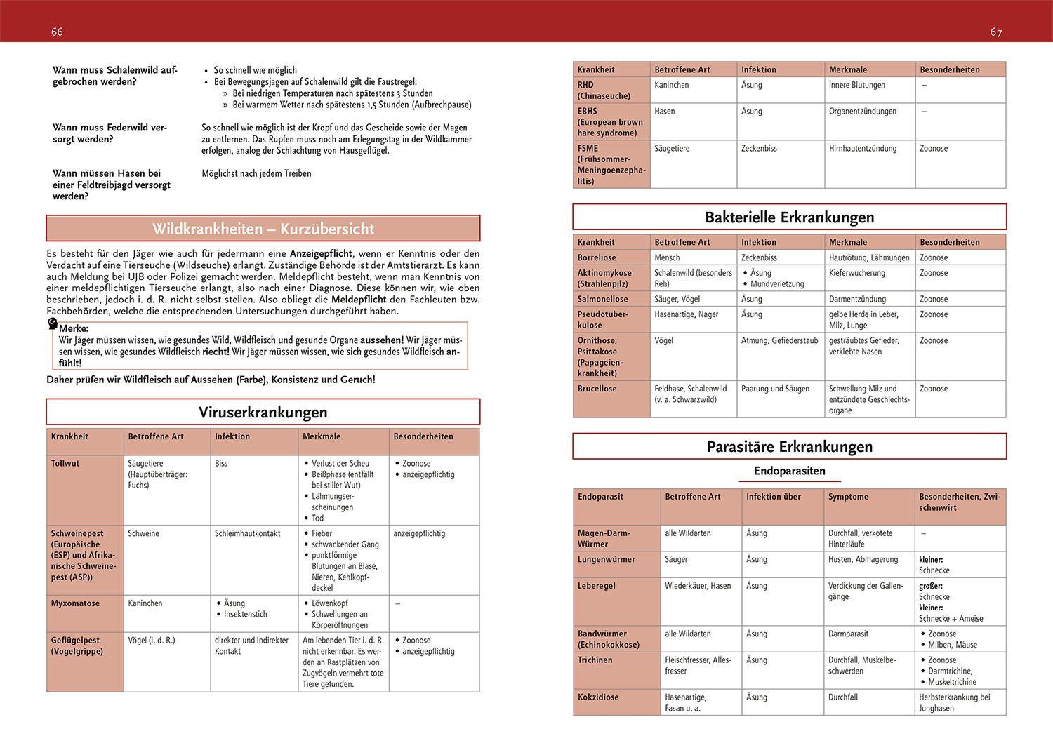 Beispielinhalt (Bild) Jägerprüfung - das Repetitorium
