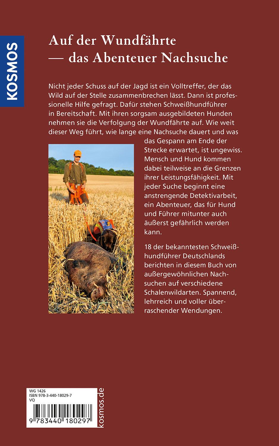 Beispielinhalt (Bild) Auf der Nachsuche