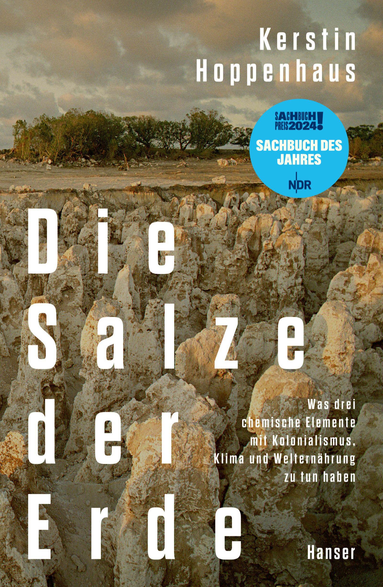Vorderes Coverbild Die Salze der Erde