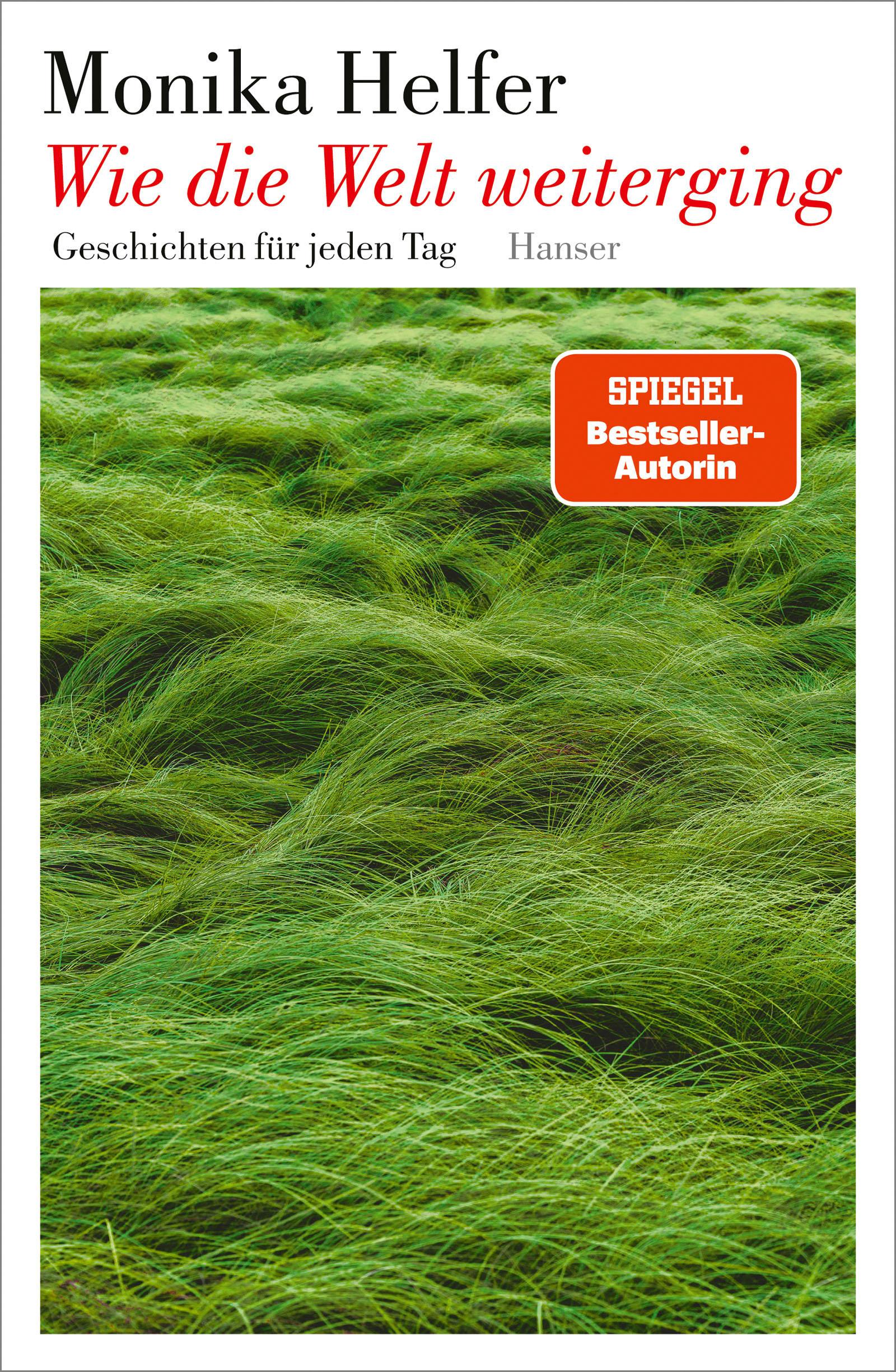 Vorderes Coverbild Wie die Welt weiterging
