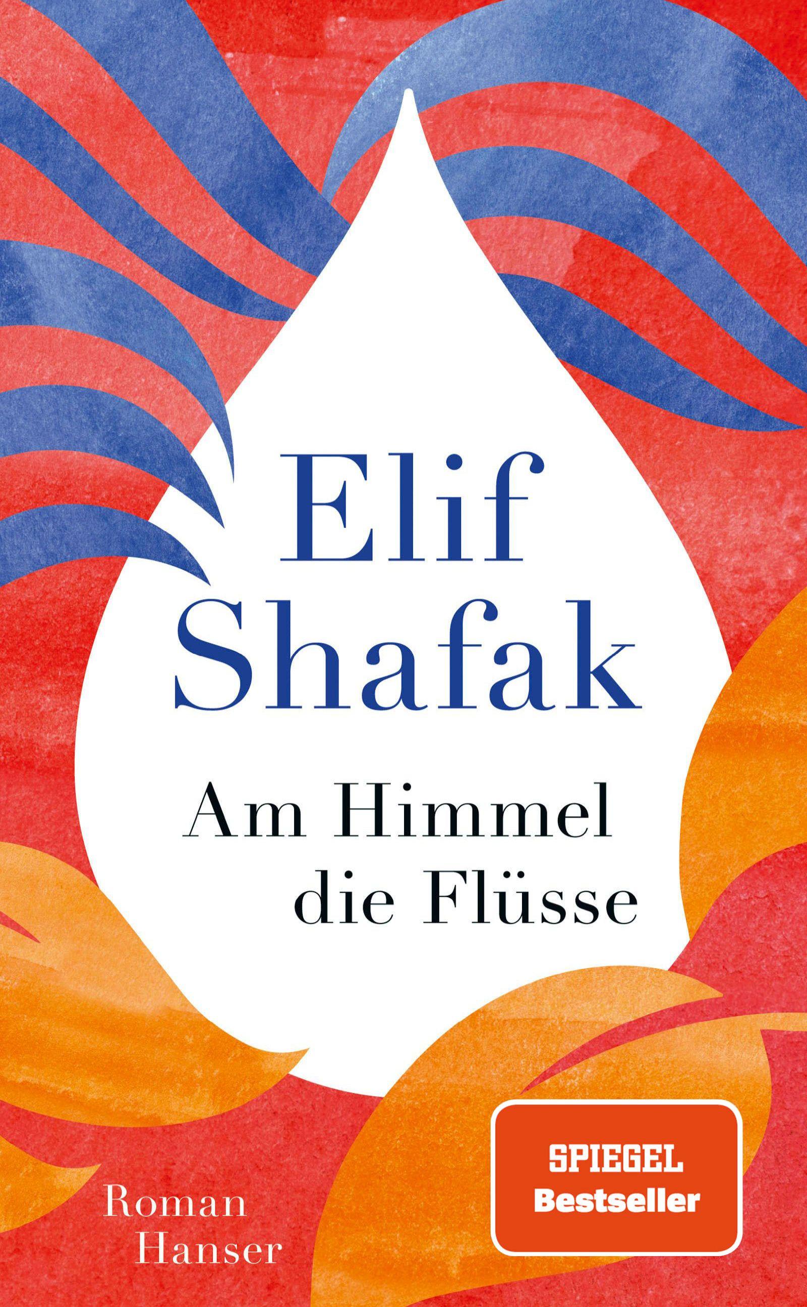 Vorderes Coverbild Am Himmel die Flüsse