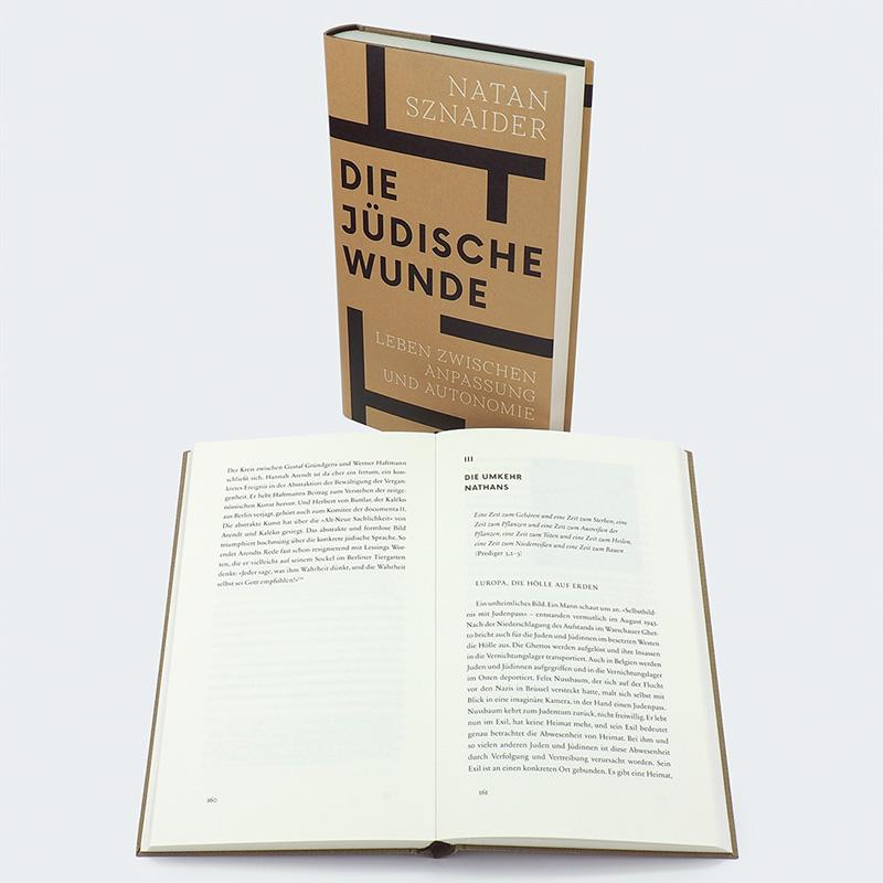 Beispielinhalt (Bild) Die jüdische Wunde