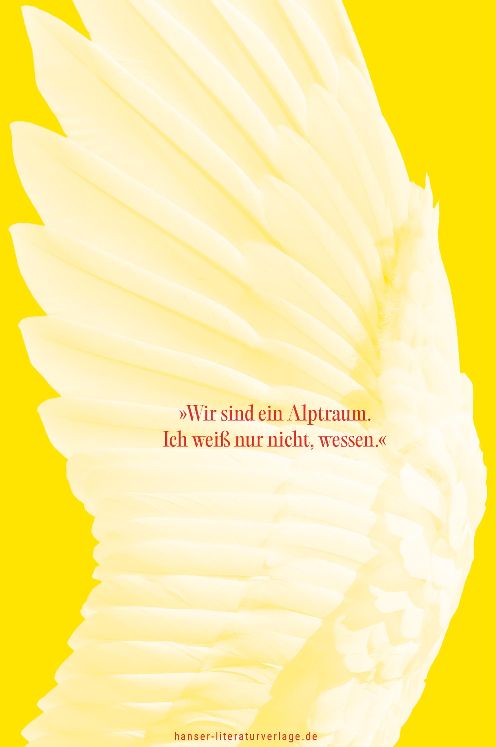 Beispielinhalt (Bild) Als wir Schwäne waren