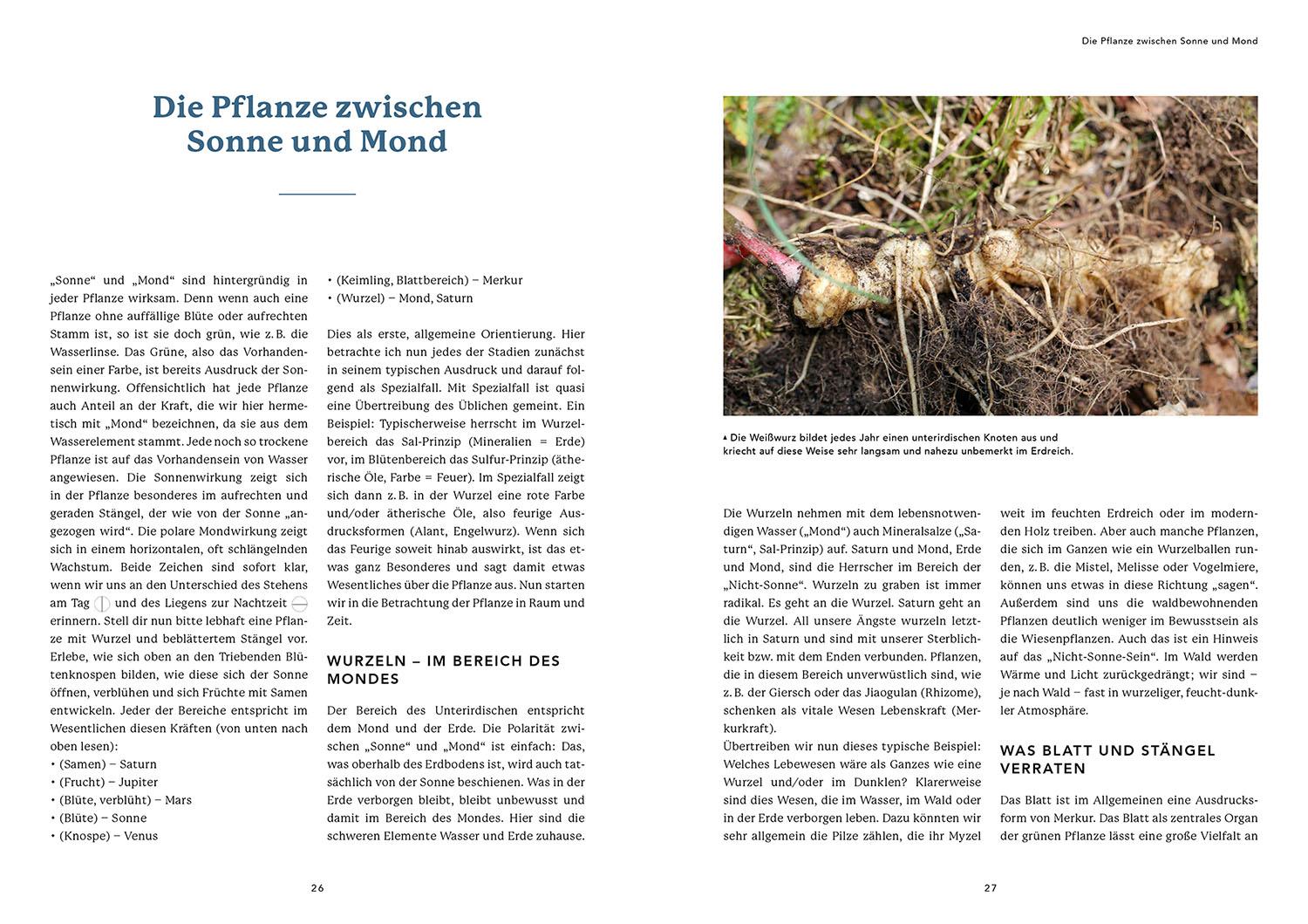 Beispielinhalt (Bild) Die Urkraft der Planeten in den Pflanzen