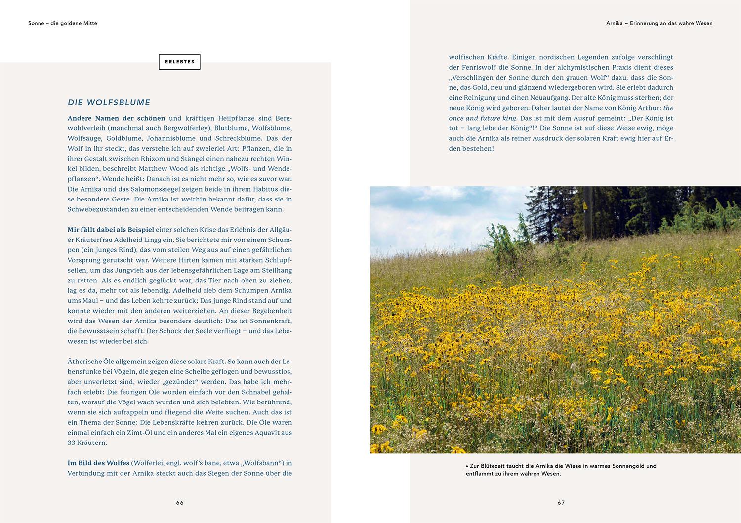 Beispielinhalt (Bild) Die Urkraft der Planeten in den Pflanzen