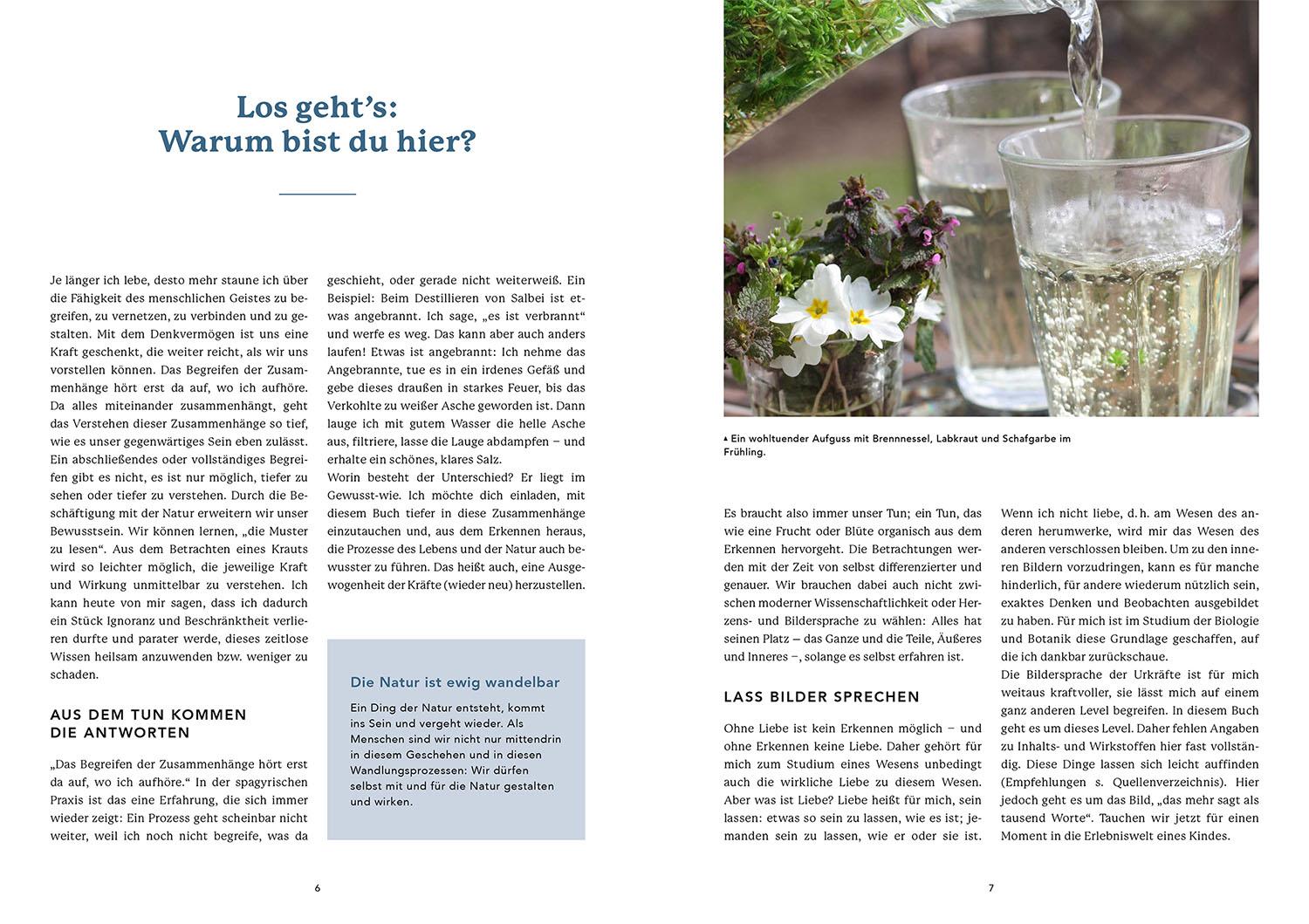 Beispielinhalt (Bild) Die Urkraft der Planeten in den Pflanzen