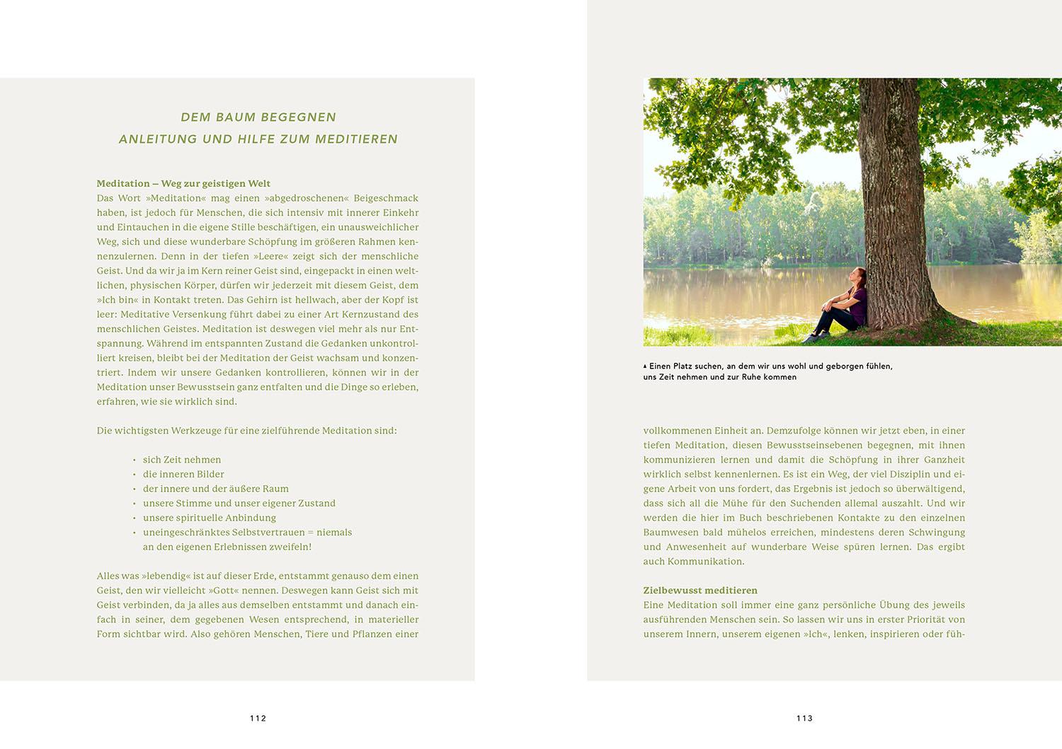 Beispielinhalt (Bild) Die Weisheit der Baumwesen