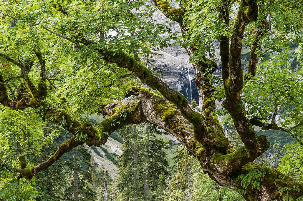 Beispielinhalt (Bild) Karwendel