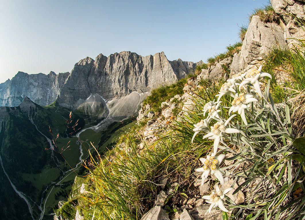 Beispielinhalt (Bild) Karwendel