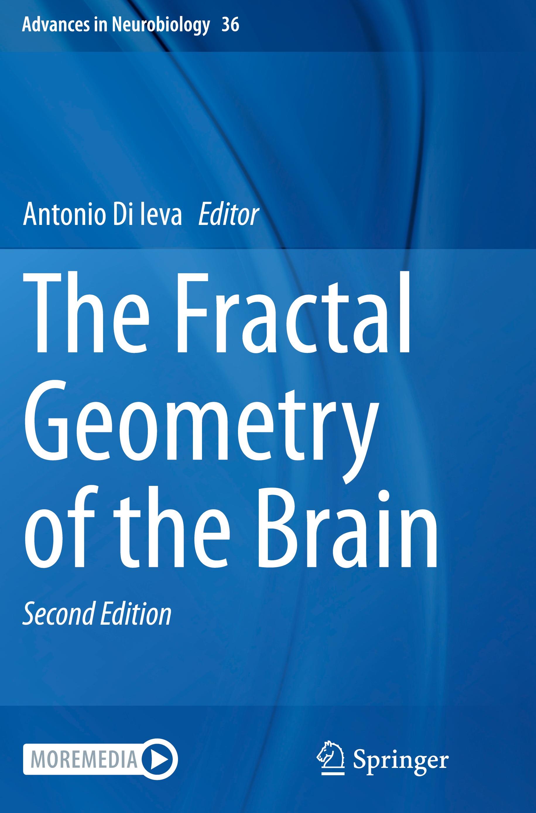 Vorderes Coverbild The Fractal Geometry of the Brain