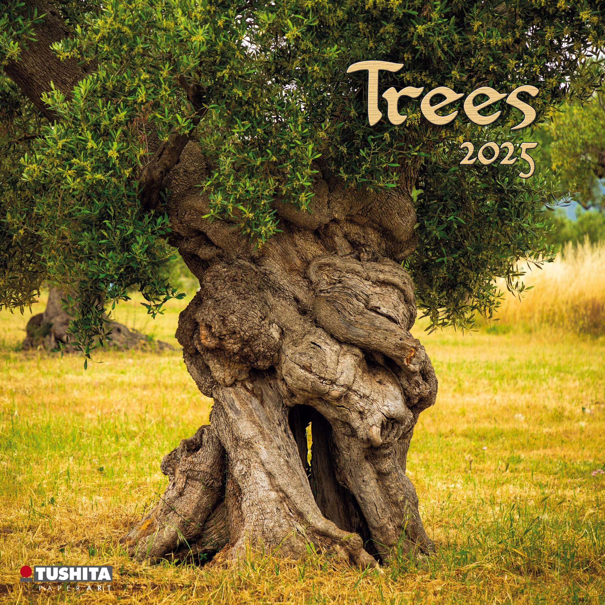 Vorderes Coverbild Trees 2025