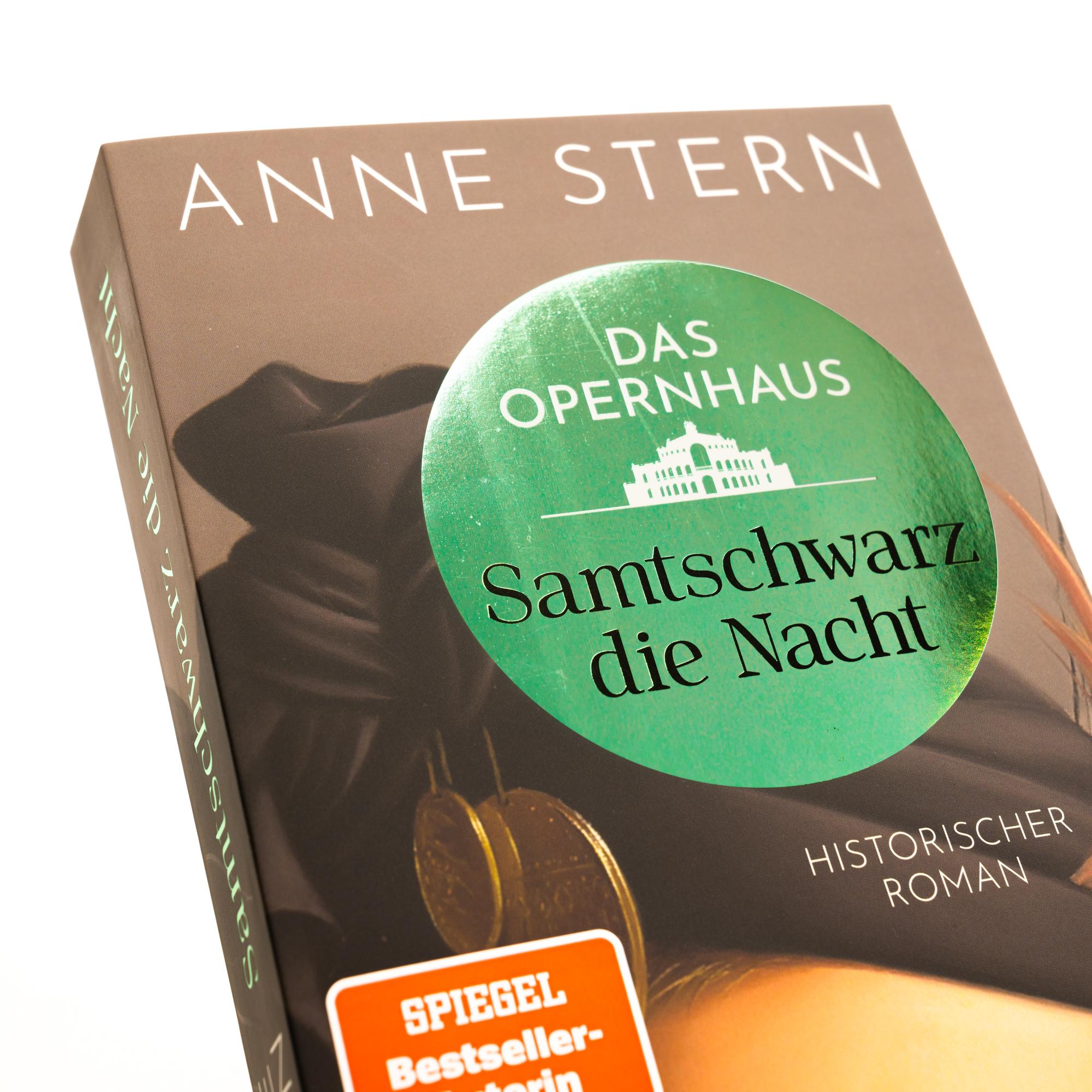 Beispielinhalt (Bild) Das Opernhaus: Samtschwarz die Nacht
