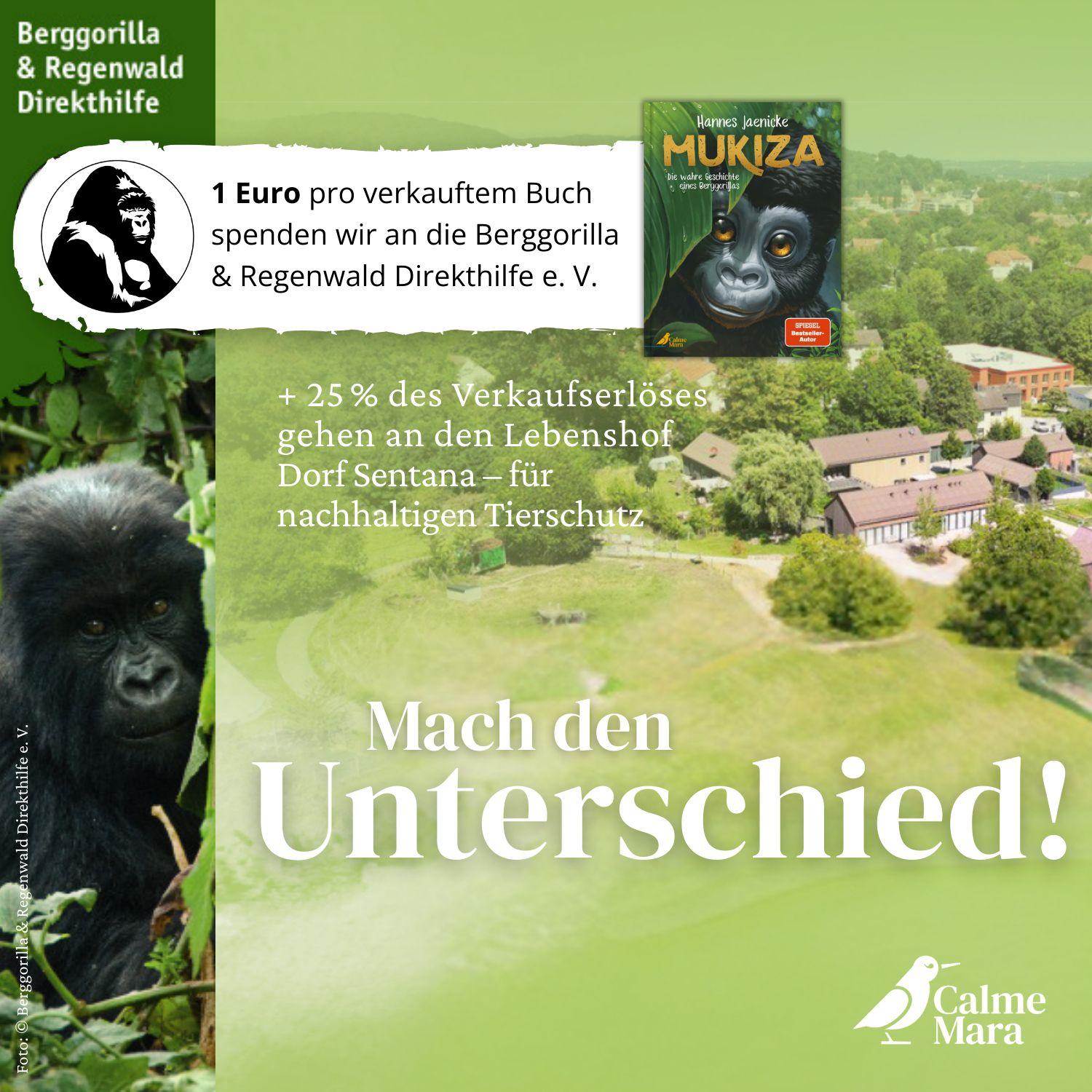 Beispielinhalt (Bild) Mukiza