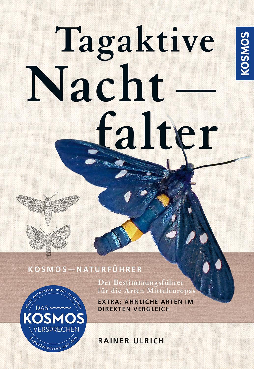 Vorderes Coverbild Tagaktive Nachtfalter