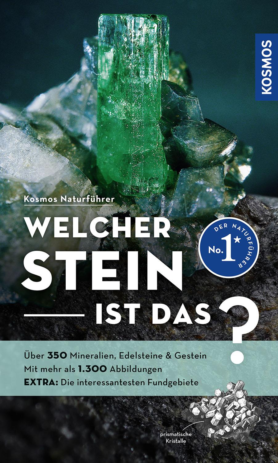 Vorderes Coverbild Welcher Stein ist das?