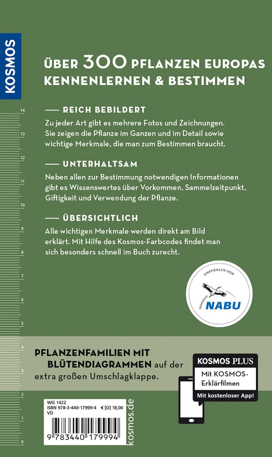 Rückseitencover Welche essbare Wildpflanze ist das?