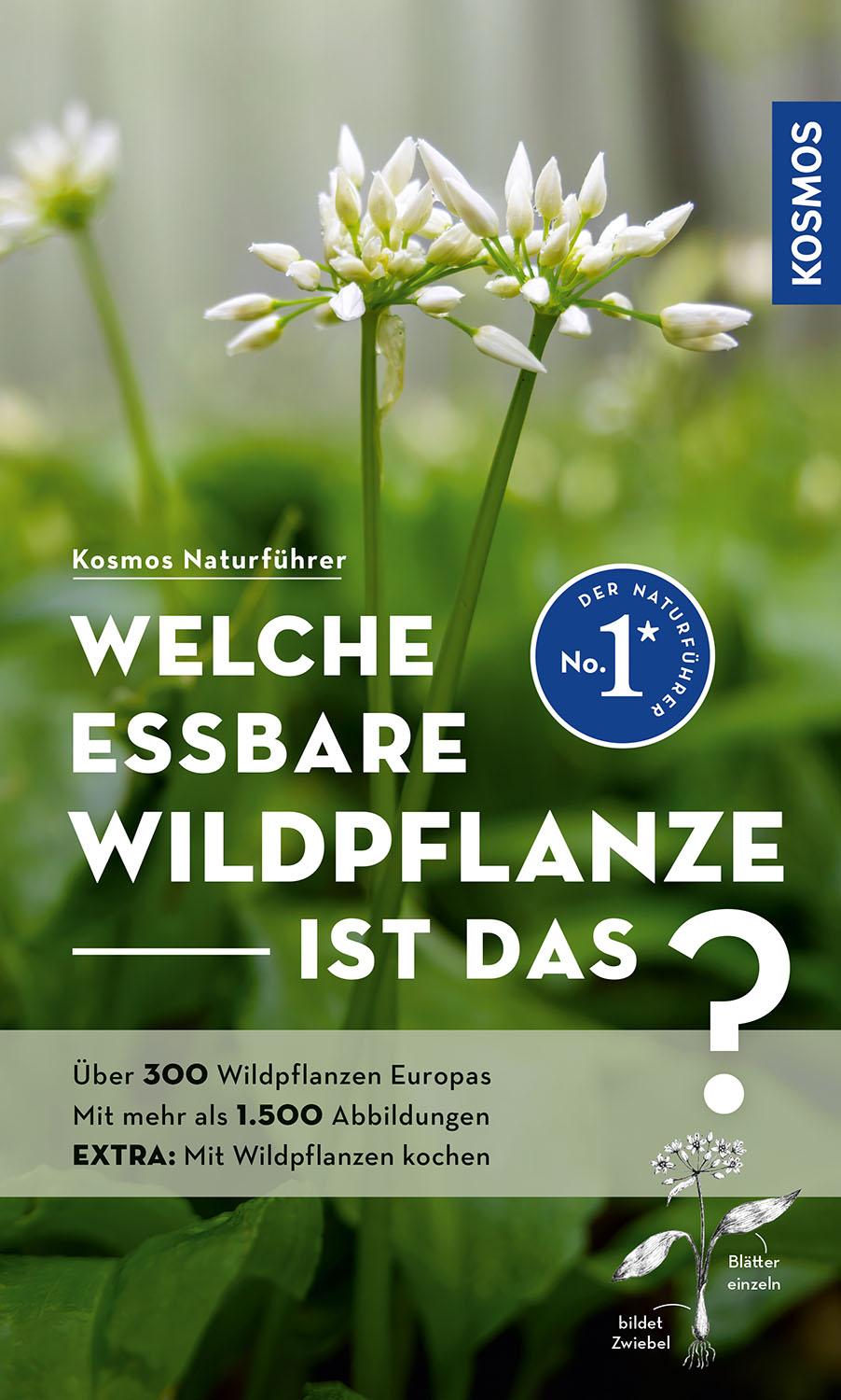 Vorderes Coverbild Welche essbare Wildpflanze ist das?
