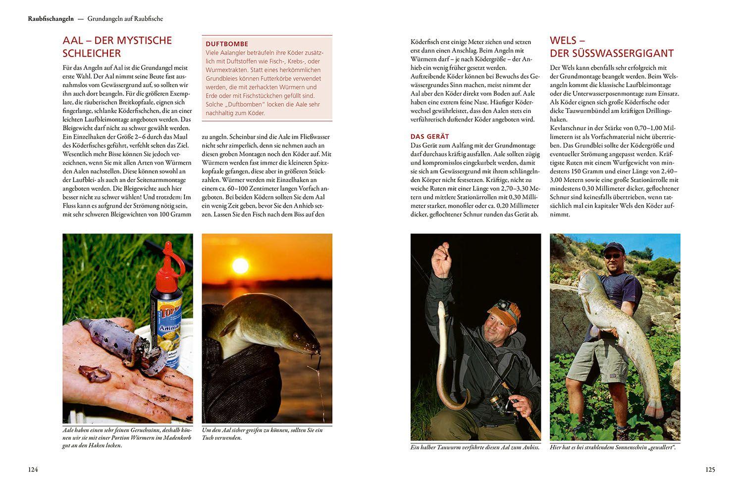 Beispielinhalt (Bild) Kosmos Praxishandbuch Angeln