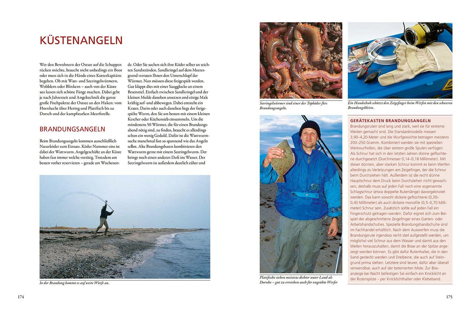 Beispielinhalt (Bild) Kosmos Praxishandbuch Angeln