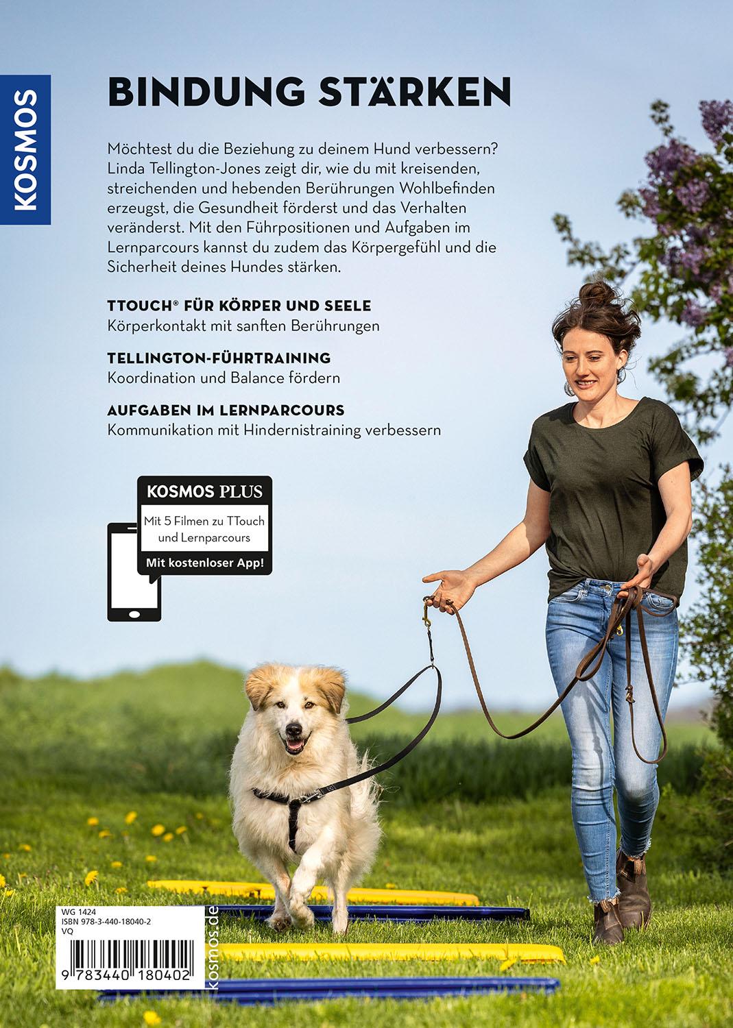 Beispielinhalt (Bild) Tellington-Training für Hunde