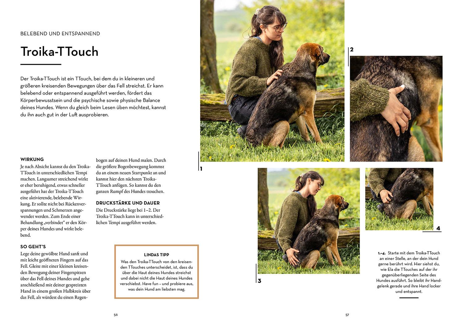 Beispielinhalt (Bild) Tellington-Training für Hunde
