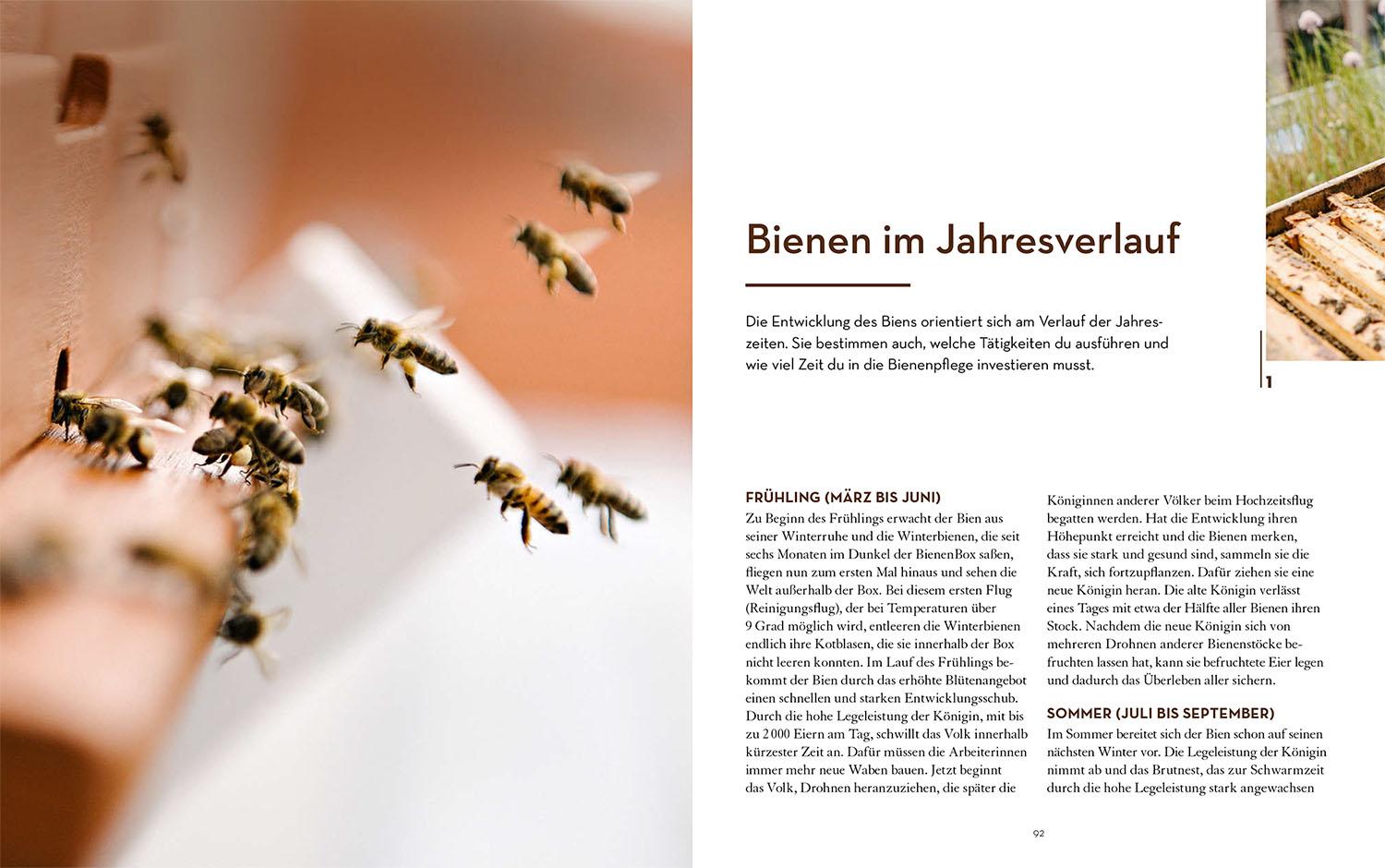 Beispielinhalt (Bild) Bienen halten mit der BienenBox