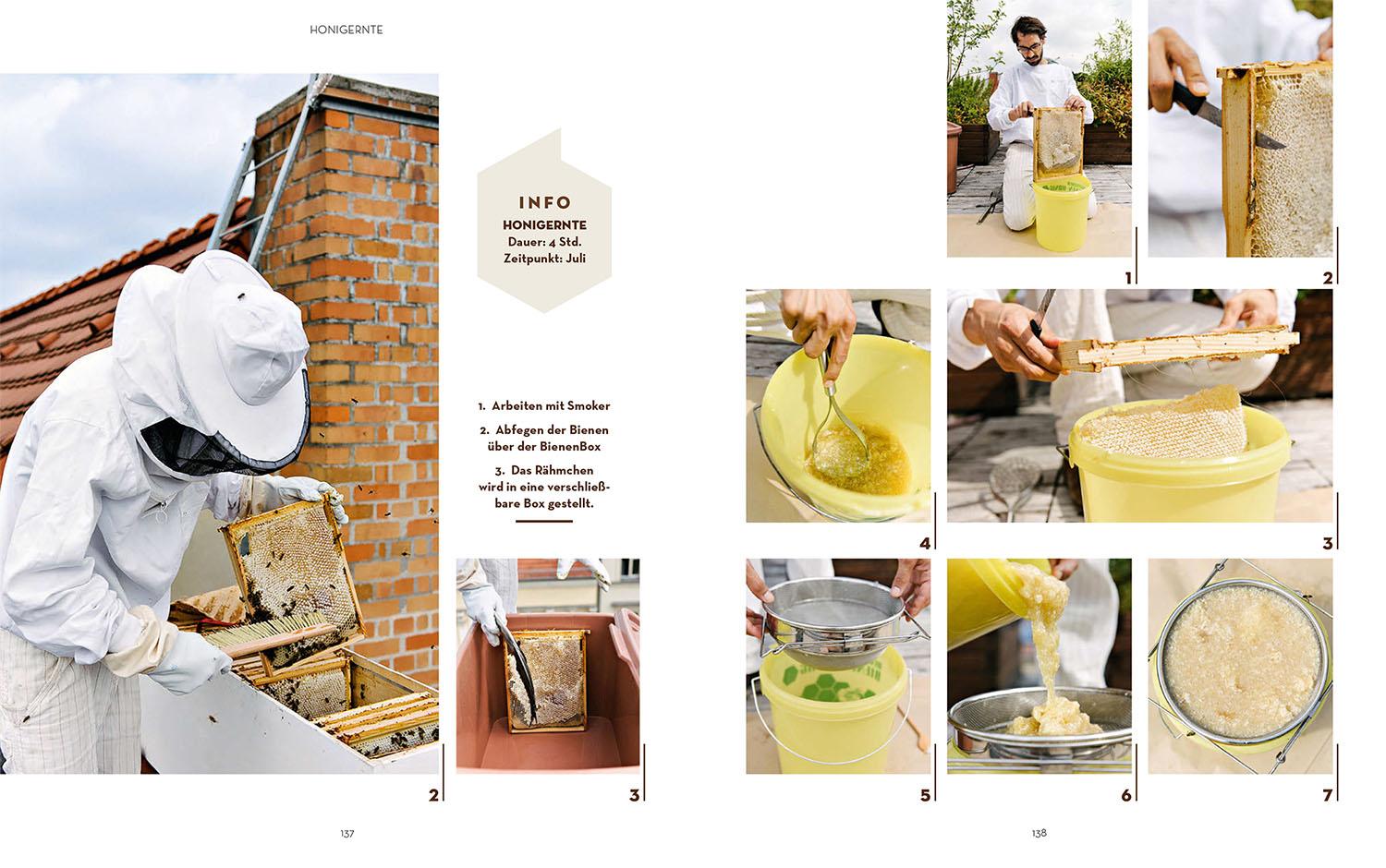 Beispielinhalt (Bild) Bienen halten mit der BienenBox