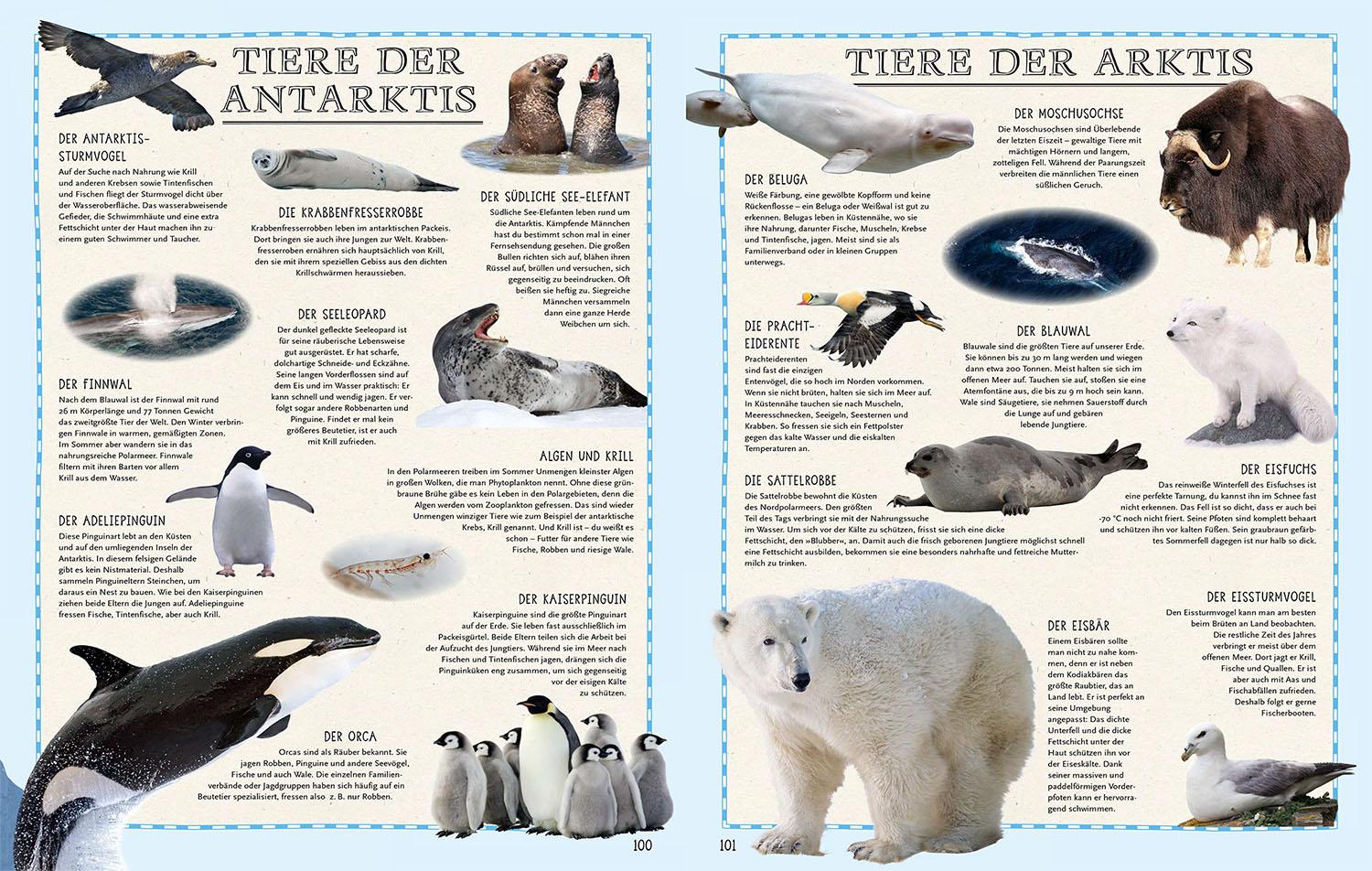 Beispielinhalt (Bild) Der Weltatlas
