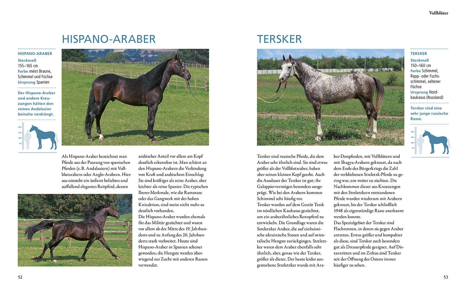 Beispielinhalt (Bild) Pferderassen