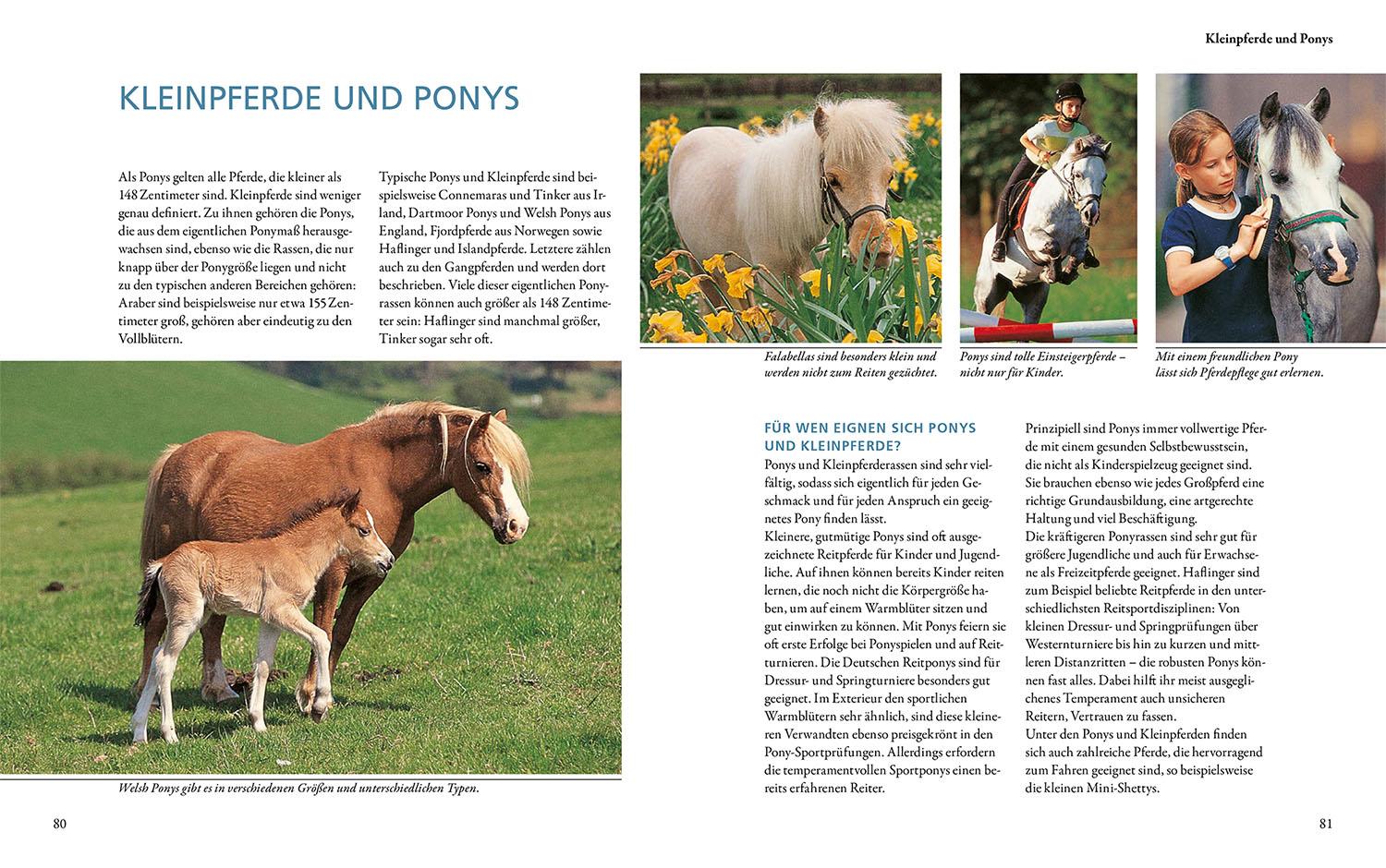 Beispielinhalt (Bild) Pferderassen