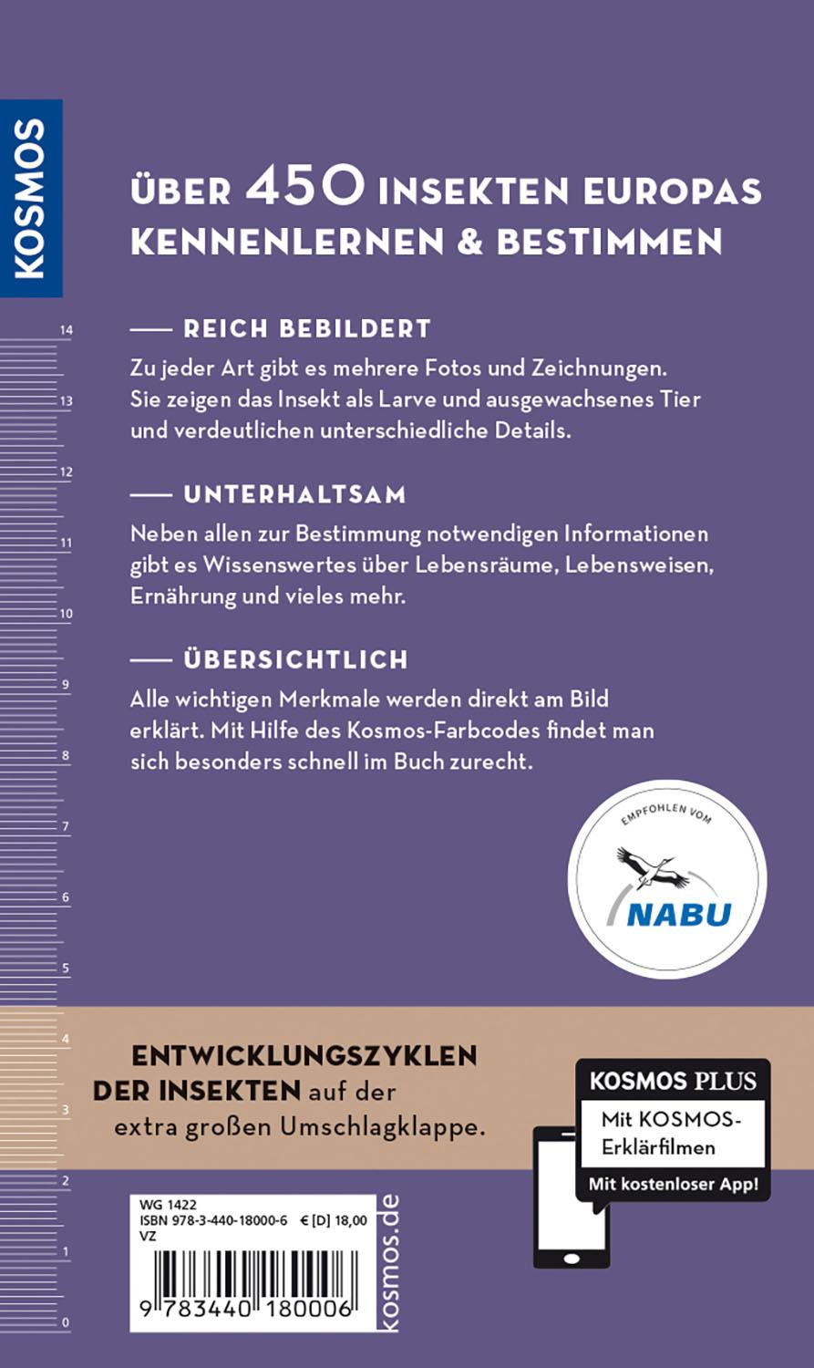 Beispielinhalt (Bild) Welches Insekt ist das?