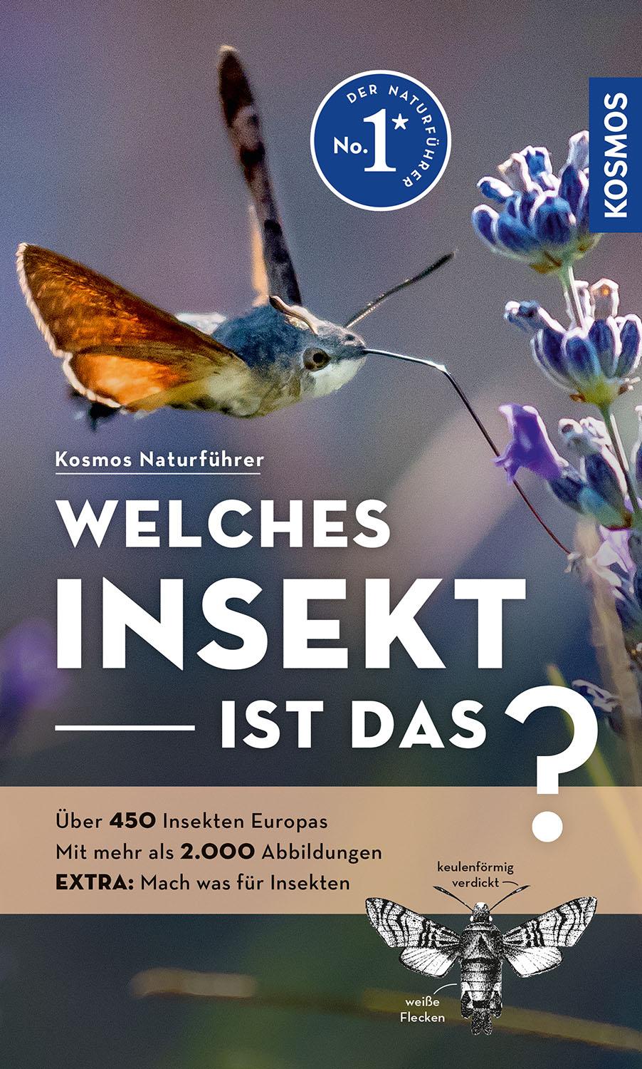 Vorderes Coverbild Welches Insekt ist das?