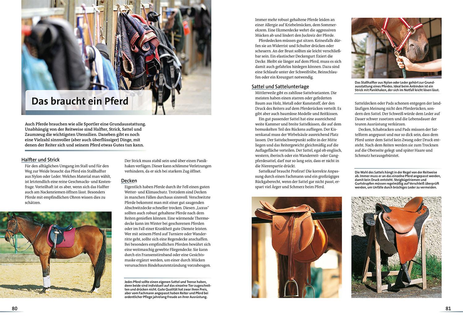 Beispielinhalt (Bild) Alles über Pferde