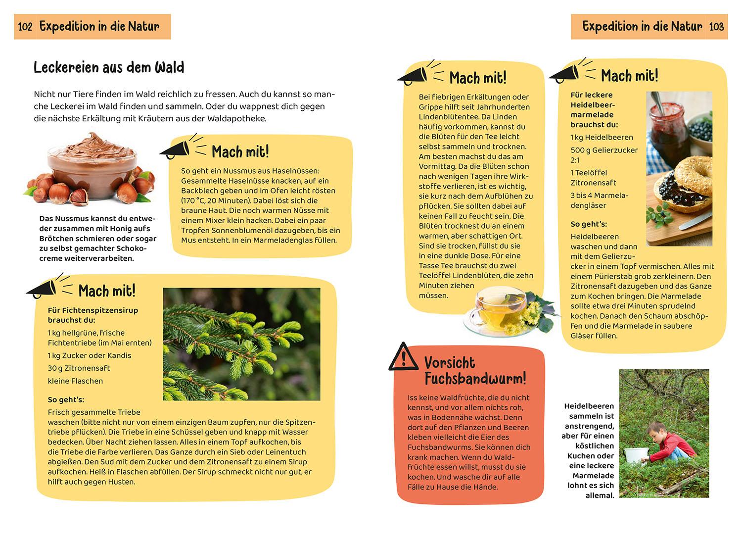 Beispielinhalt (Bild) Was lebt im Wald? Kindernaturführer