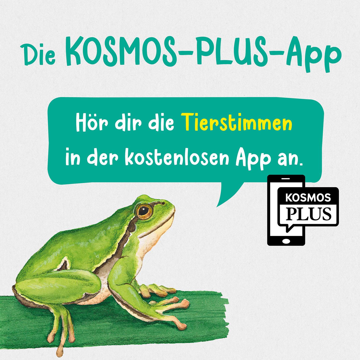 Beispielinhalt (Bild) Was lebt im Wald? Kindernaturführer