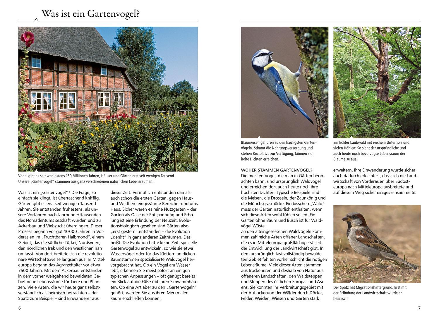 Beispielinhalt (Bild) Welcher Gartenvogel ist das?